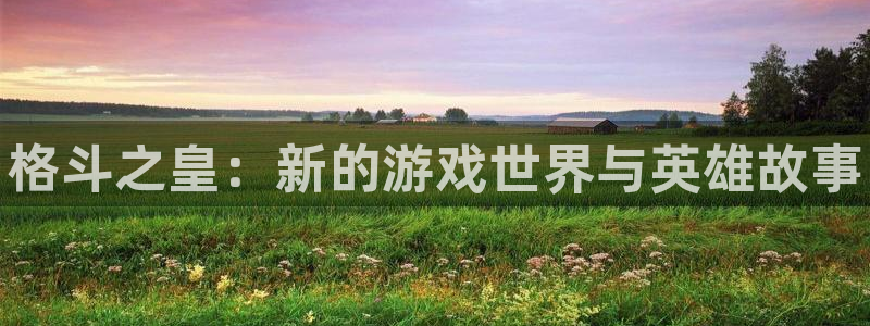 辉达娱乐游戏：格斗之皇：新的游戏世界与英雄故事