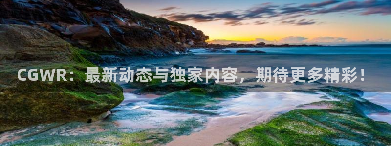 辉达娱乐Ii：CGWR：最新动态与独家内容，期待更多精彩！