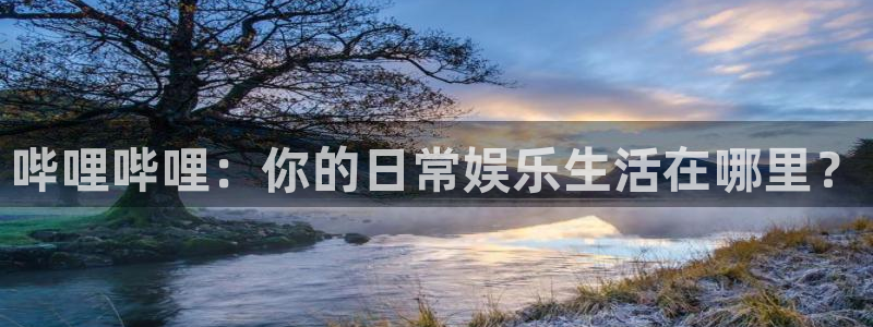 辉达娱乐线路测试：哔哩哔哩：你的日常娱乐生活在哪里？
