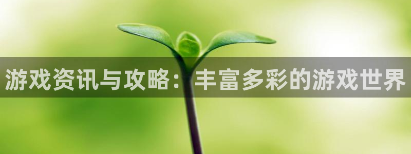 辉达娱乐登陆：游戏资讯与攻略：丰富多彩的游戏世界