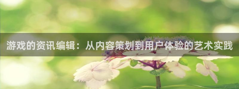 辉达娱乐注册地址：游戏的资讯编辑：从内容策划到用户体验的艺术