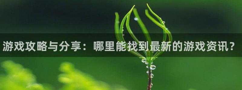 沐春辉达娱乐：游戏攻略与分享：哪里能找到最新的游戏资讯？