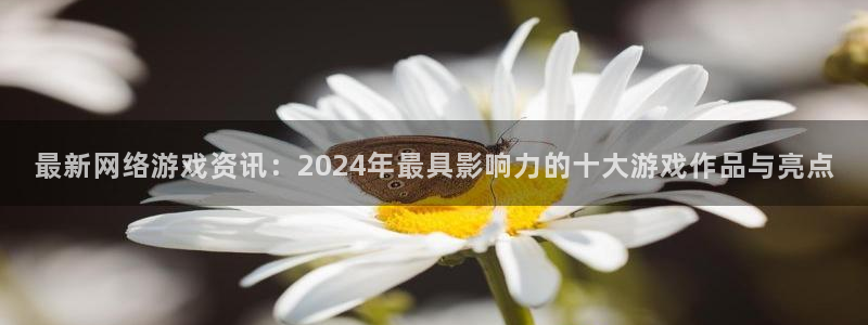 辉达娱乐注册：最新网络游戏资讯：2024年最具影响力的十大游