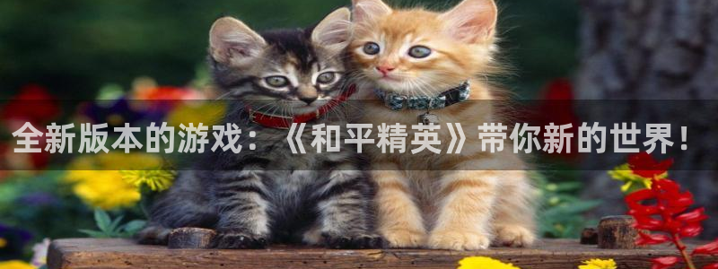辉达娱乐下载：全新版本的游戏：《和平精英》带你新的世界！