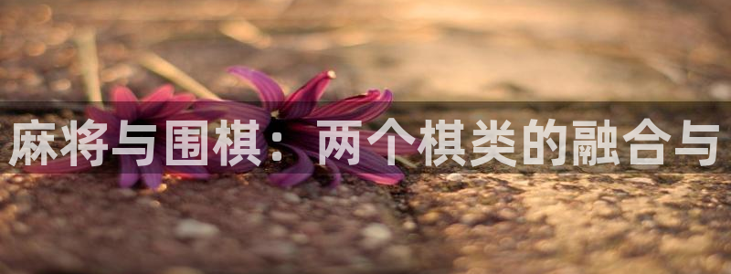 辉达娱乐注册账号：麻将与围棋：两个棋类的融合与