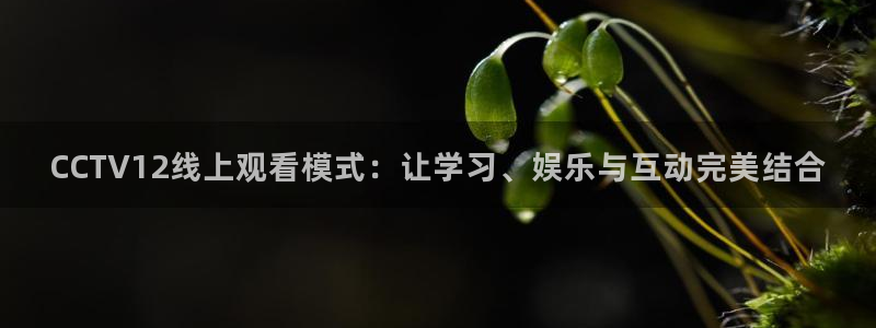 蓝鲸体育在线足球直播：CCTV12线上观看模式：让学习、娱乐与互动完美结合