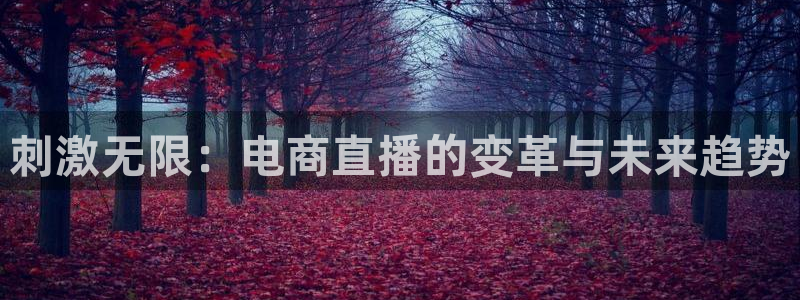 蓝鲸体育直播在线观看nba总决赛：刺激无限：电商直播的变革与未来趋势
